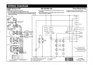 230v 3 Phase Motor Wiring Diagram Wiring Diagram Three Phase 60 Hz P6sp Series 6 10t Manualzz