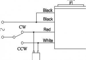 230v 3 Phase Motor Wiring Diagram Wl 2512 Diagram Single Phase Motor Correct Wiring for 3