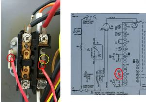 24 Volt Contactor Wiring Diagram Central Air Contactor Wiring Diagram Wiring Diagram Fascinating