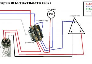 24 Volt Contactor Wiring Diagram Hvac Contactor Wiring Schematic Wiring Diagram Show 24 Volt Contactor Wiring Diagram Hvac Contactor Wiring Schematic Wiring Diagram Show