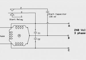 240 Volt 3 Phase Motor Wiring Diagram 220 3 Phase Receptacle Wiring Wiring Diagram Operations