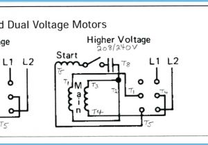 240 Volt Electric Motor Wiring Diagram Weg Wiring Diagram Wiring Diagram Database