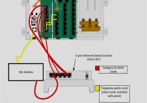 25 Pair 66 Block Wiring Diagram Dsl Apartment Wiring Diagram Wiring Diagram Centre