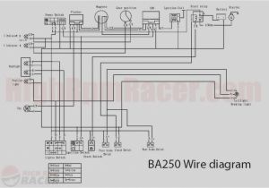 250cc Chinese atv Wiring Diagram 250cc Gy6 Diagram Wiring Diagram Expert 250cc Chinese atv Wiring Diagram 250cc Gy6 Diagram Wiring Diagram Expert