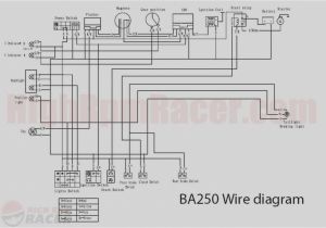 250cc Chinese atv Wiring Diagram 250cc Gy6 Diagram Wiring Diagram Expert