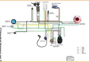 250cc Chinese atv Wiring Diagram Chinese Cdi Wiring Diagram for Wiring Diagram Img