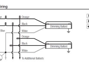 277v Light Switch Wiring Diagram 277 Led Panel Diagram Wiring Diagram Mega 277v Light Switch Wiring Diagram 277 Led Panel Diagram Wiring Diagram Mega