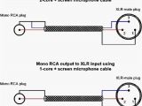 3.5 Mm Jack to Xlr Wiring Diagram Xlr Male Microphone Connector Wire Diagramt Wiring Library