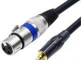 3.5 Mm Mono Jack Wiring Diagram Disino Xlr to 3 5mm 1 8 Inch Stereo Microphone Cable for Camcorders Dslr Cameras Computer Recording Device and More 1 6ft 50cm