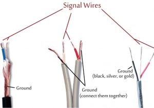 3.5 Mm Plug Wiring Diagram 3 5mm Stereo Audio Cable to Rca Diagram Wiring Diagram Database
