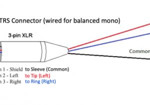3.5 Mm Stereo to Xlr Wiring Diagram Balanced Xlr Female to 1 4 Trs Audio Cables with Neutrik Connectors All Lengths Available