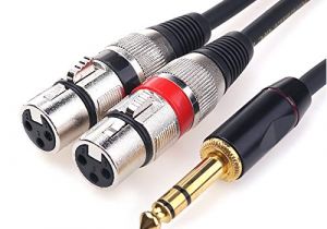 3.5 Mm to Xlr Male Wiring Diagram Tisino Doppelte Xlr Buchse Auf 6 35 Mm Klinkenstecker Y Adapter Patchkabel Unsymmetrisch 2 Xlr Auf 6 35 Mm Kopfhorerbuchsen Breakout Kabel 1 5m