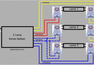 3 Lamp Ballast Wiring Diagram Seriesl Ballast Lampholder Wiring 3 Lamps Electrical 101
