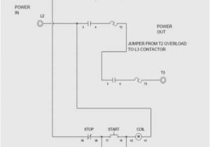 3 Phase 240v Motor Wiring Diagram Weg Motor Wiring Diagram Wiring Diagram