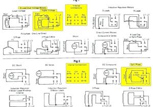 3 Phase 6 Lead Motor Wiring Diagram 12 Wire Motor Diagram Lead Wiring Aurora Fridge 3 Speed Fan Switch 3 Phase 6 Lead Motor Wiring Diagram 12 Wire Motor Diagram Lead Wiring Aurora Fridge 3 Speed Fan Switch
