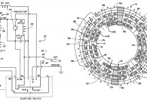 3 Phase 6 Pole Motor Wiring Diagram Wiring Diagram Induction Motor Single Phase Free Download Wiring