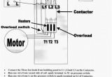 3 Phase Air Compressor Motor Starter Wiring Diagram Weg Motors Wiring Diagram Wiring Diagram Autovehicle