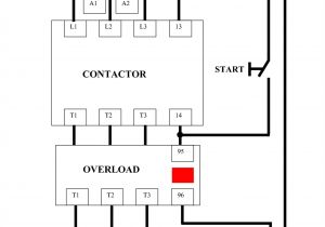 3 Phase Contactor Wiring Diagram Furnas Contactor Wiring Diagram Wiring Diagram Show