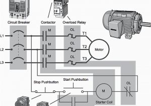 3 Phase Dol Starter Wiring Diagram Basic Plc Program for Control Of A Three Phase Ac Motor for