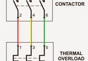 3 Phase Dol Starter Wiring Diagram Wrg 3714 Electrical Motor Starter Wiring Diagram 3 Phase Dol Starter Wiring Diagram Wrg 3714 Electrical Motor Starter Wiring Diagram