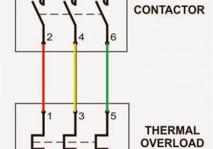 3 Phase Dol Starter Wiring Diagram Wrg 3714 Electrical Motor Starter Wiring Diagram