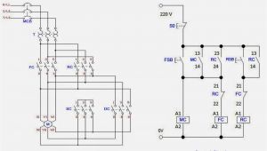 3 Phase Electric Motor Wiring Diagram 3 Phase Motor Starter Wiring Wiring Diagram Database
