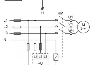 3 Phase isolator Switch Wiring Diagram Ekv8 3 Phase Voltage Relay China Zhejiang Etek Electrical