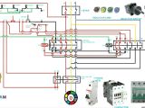3 Phase Magnetic Starter Wiring Diagram 27 3 Phase Motor Wiring Diagram Pdf Wiring Database 2020