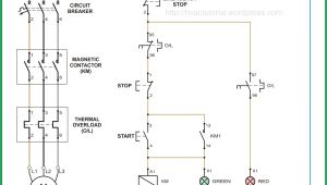 3 Phase Magnetic Starter Wiring Diagram 3 Phase Magnetic Starter Wiring Diagram for Your Needs