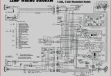 3 Phase Motor Starter Wiring Diagram Pdf Wireing 208 Motor Starter Diagram Wiring Diagram