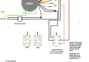 3 Phase Motor Wiring Diagram 9 Wire Electrical Wiring Diagram for Gearmotors Wiring Diagram Img