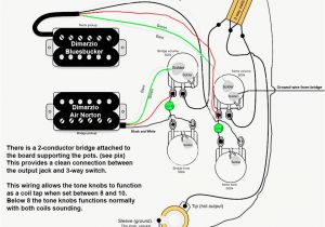 3 Pickup Les Paul Wiring Diagram Gibson Es 335 Wiring Diagram Humbuckers Wiring Diagram Option