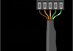 3 Pin Dmx Wiring Diagram Cat 5 Wiring Diagram Dmx Wiring Diagram Img 3 Pin Dmx Wiring Diagram Cat 5 Wiring Diagram Dmx Wiring Diagram Img