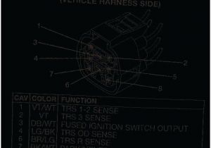 3 Position Ignition Switch Wiring Diagram 4 Position Ignition Switch Diagram Vmglobal Co 3 Position Ignition Switch Wiring Diagram 4 Position Ignition Switch Diagram Vmglobal Co
