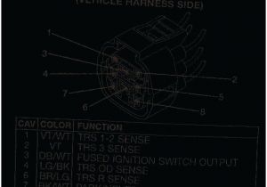 3 Position Ignition Switch Wiring Diagram 4 Position Ignition Switch Diagram Vmglobal Co