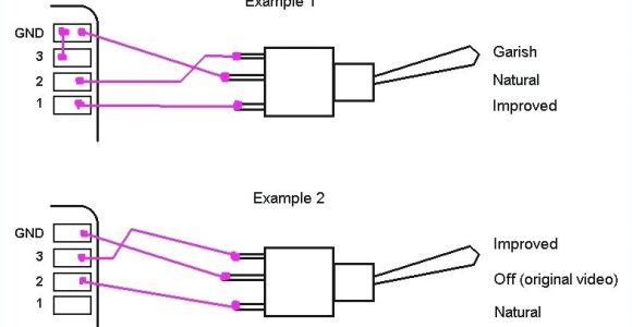 3 Position toggle Switch Wiring Diagram Pin Dpdt Switch Circuit Diagrams On Pinterest Book Diagram Schema