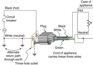 3 Prong Generator Plug Wiring Diagram 3 Prong Electrical Plug Wiring 3 Prong Generator Plug Wiring Diagram 3 Prong Electrical Plug Wiring