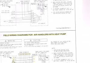 3 Prong Outlet Wiring Diagram Us Electrical Outlet Wiring Diagram Perfect 3 Prong Plug Wiring 3 Prong Outlet Wiring Diagram Us Electrical Outlet Wiring Diagram Perfect 3 Prong Plug Wiring