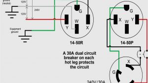 3 Prong Twist Lock Plug Wiring Diagram 4 Wire Plug Wiring Diagram Wiring Diagram Inside