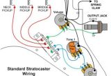 3 Single Coil Pickups Wiring Diagram Images Of Fender Stratocaster Pickup Wiring Diagram Wire