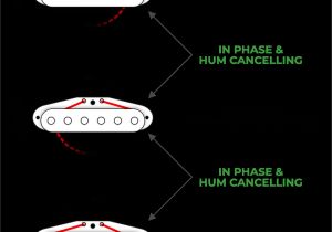 3 Single Coil Pickups Wiring Diagram Pickup Polarity Whats the Deal An Easy Guide Fralin Pickups