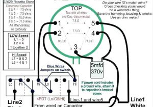 3 Speed 4 Wire Fan Switch Wiring Diagram Wiring A Ceiling Fan with 4 Wires Shopngo Co 3 Speed 4 Wire Fan Switch Wiring Diagram Wiring A Ceiling Fan with 4 Wires Shopngo Co