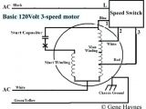 3 Speed Ceiling Fan Motor Wiring Diagram 3 Speed Motor Wiring Diagram Inspirational Single Phase 2 Speed