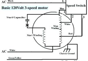 3 Speed Ceiling Fan Motor Wiring Diagram 3 Speed Motor Wiring Diagram Inspirational Single Phase 2 Speed