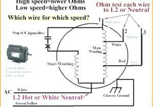 3 Speed Ceiling Fan Motor Wiring Diagram Hampton Bay Ceiling Fans Wiring Instructions Terrific Bay 3 Speed Ceiling Fan Motor Wiring Diagram Hampton Bay Ceiling Fans Wiring Instructions Terrific Bay