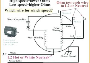3 Speed Ceiling Fan Motor Wiring Diagram Hampton Bay Ceiling Fans Wiring Instructions Terrific Bay
