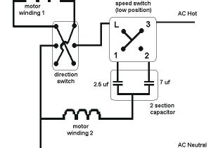3 Speed Ceiling Fan Pull Chain Switch Wiring Diagram Ceiling Fan and Light Switch Trackidz Com