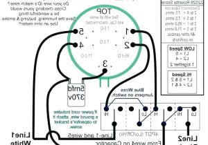 3 Speed Ceiling Fan Switch Wiring Diagram Ceiling Fan Pull Chain Switch Dropmu 3 Speed Ceiling Fan Switch Wiring Diagram Ceiling Fan Pull Chain Switch Dropmu