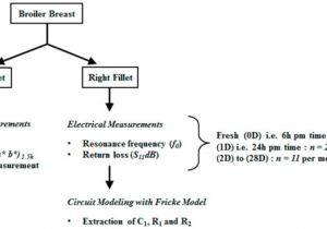 3 Speed Fan Switch Wiring Diagram Wiring Diagram Splendi Fan Switch Wiring Diagram Image Ideas 4 3 Speed Fan Switch Wiring Diagram Wiring Diagram Splendi Fan Switch Wiring Diagram Image Ideas 4