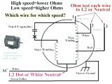 3 Speed Motor Wiring Diagram Motor Wiring Diagram 19 Wiring Diagram